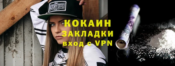 крисы Кадников