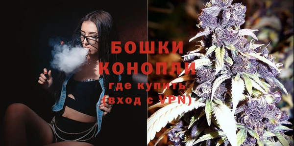 гашик Краснослободск