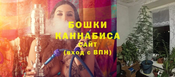гашик Краснослободск
