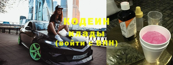 гашик Краснослободск