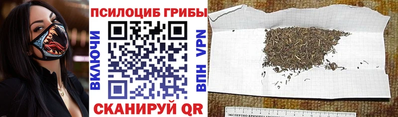 продажа наркотиков Петров Вал Галлюциногенные грибы мухоморы